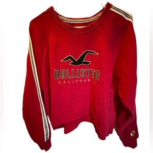 Hollister Crop Top Long Sleeve